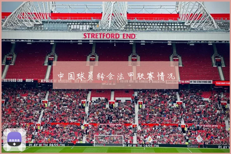 中国球员转会法甲联赛情况