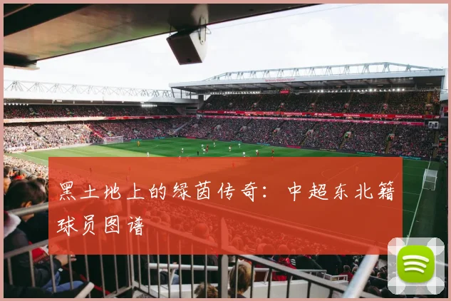 黑土地上的绿茵传奇:中超东北籍球员图谱