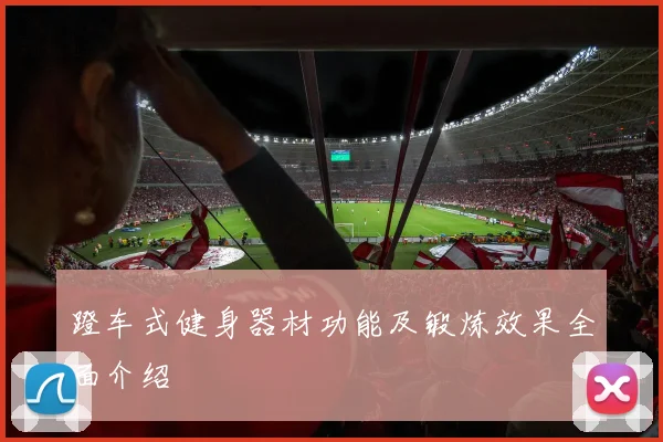 蹬车式健身器材功能及锻炼效果全面介绍