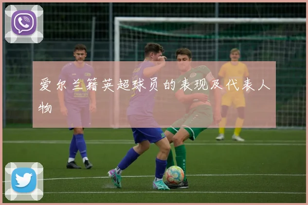 爱尔兰籍英超球员的表现及代表人物