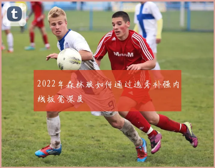 2022年森林狼如何通过选秀补强内线板凳深度